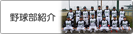 野球部紹介